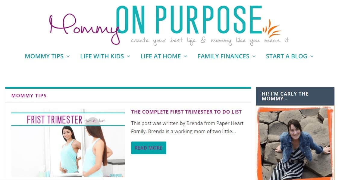 What Type Of Blogs Make The Most Money - Parenting And Mommy Blogs!