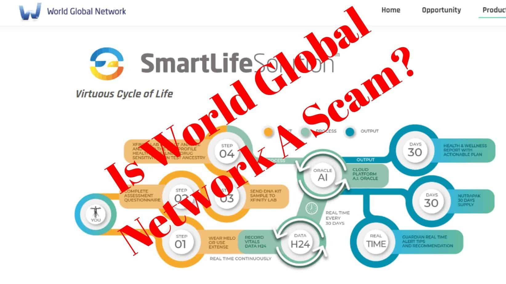 Is World Global Network A Scam