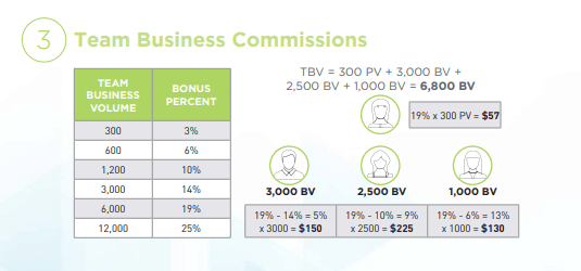 Avisae Compensation Plan