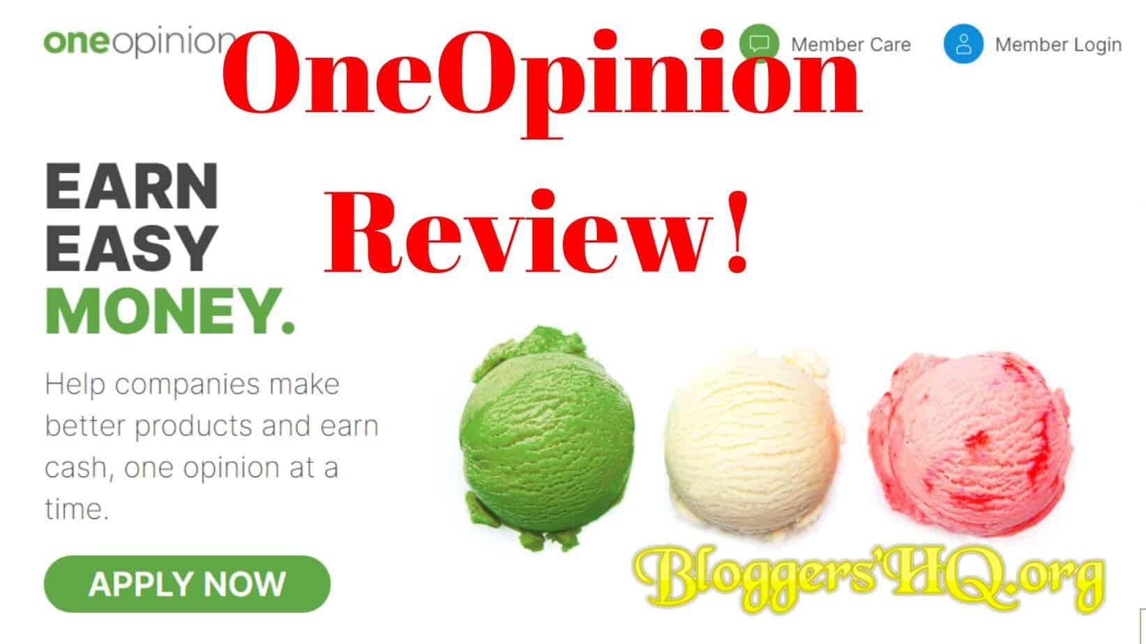 OneOpinion Review