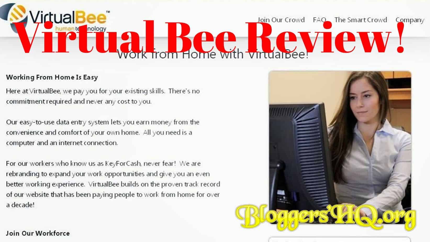 Virtual Bee Review