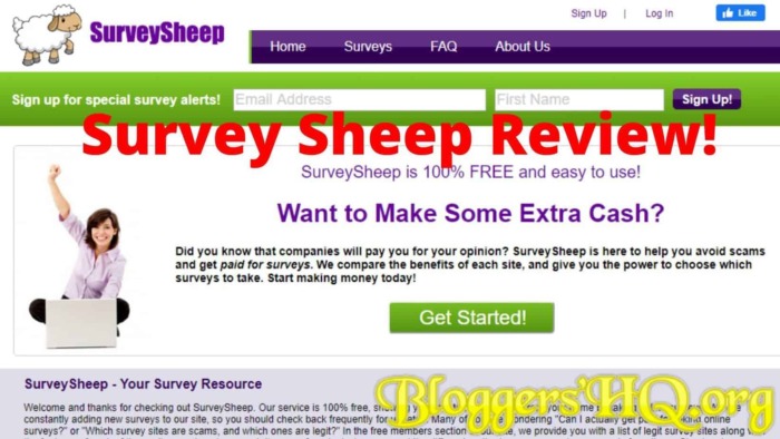 Survey Sheep Review