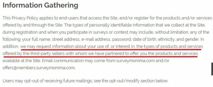 Survey Momma Privacy Policy