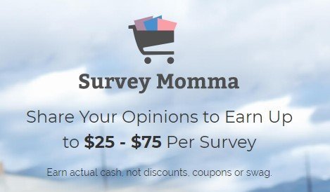 Survey Momma Scam